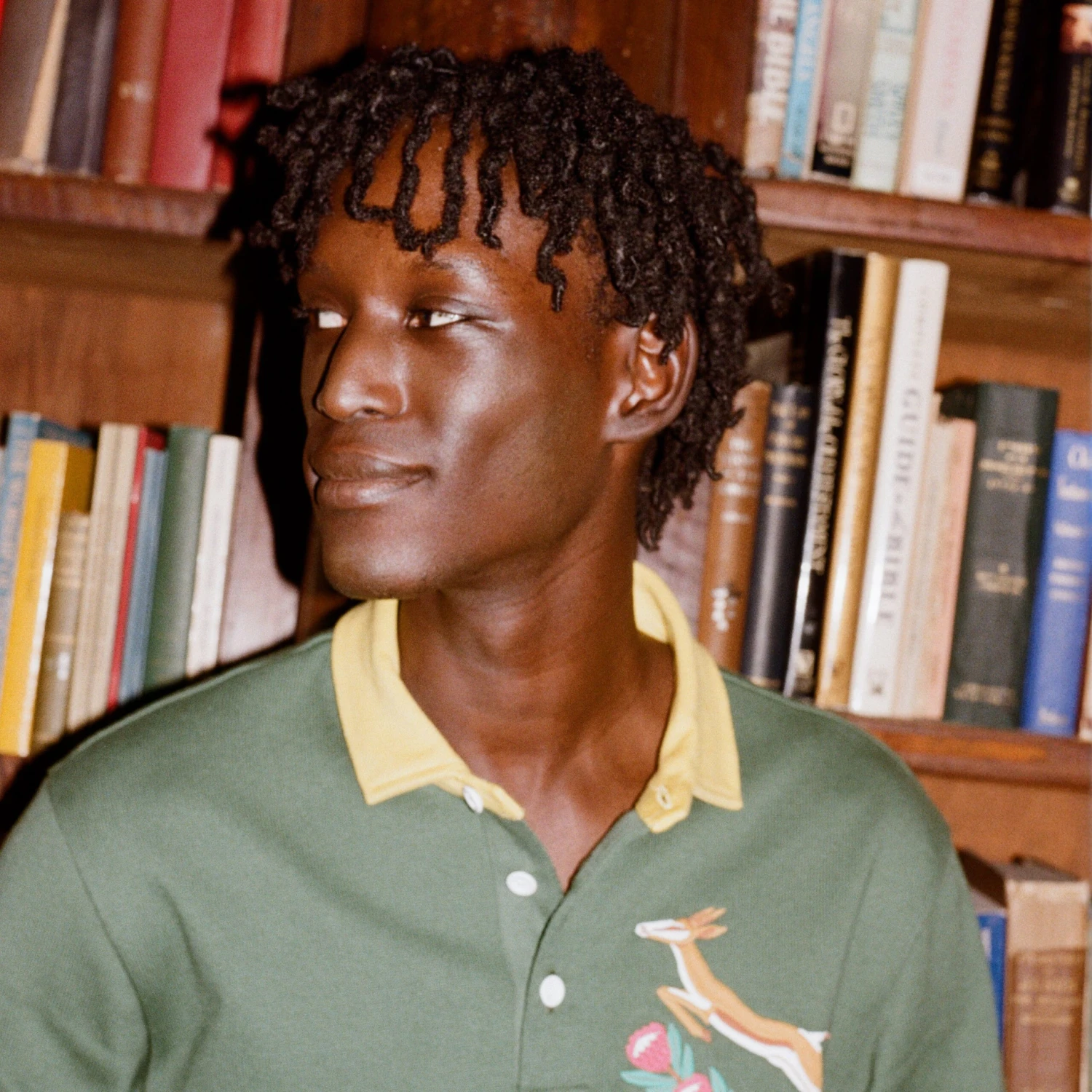 South Africa Rugby 5 South Africa Rugby - Image 3