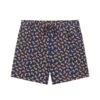 Ashe Paisley Shorts -Modern Outfit Shop AA SHORTS PAISLEY FRONT