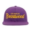 Brentwood Lakers Snapback Hat -Modern Outfit Shop HoodHats BrentwoodConcord Front 521f8db7 d61e 4b6b 9edc b2b46dc04049