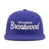 Brentwood Dodgers Snapback Hat 1 Brentwood Dodgers Snapback Hat -Modern Outfit Shop HoodHats BrentwoodRoyal Front 11928cff d879 4ffe b2e8 363c2274a56d