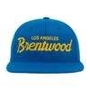 Brentwood Bruins Snapback Hat 1 Brentwood Bruins Snapback Hat -Modern Outfit Shop HoodHats BrentwoodSlushPuppy Front 2e9a406e f058 4885 8ebc db0324c657cc