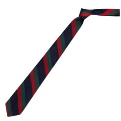 Cinque Vie Stripe Tie