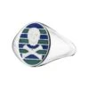 Jessica Biales Green & Blue Enamel Skull & Crossbones Signet Ring -Modern Outfit Shop color silver 1