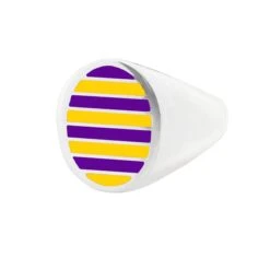Jessica Biales Yellow And Purple Collegiate Signet Ring -Modern Outfit Shop color silver 1 ed07bc9d 7ee3 41b5 8c48 0968ccec9f2c