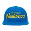 Westwood II Snapback Hat 2 Westwood II Snapback Hat -Modern Outfit Shop image 7b358a41 c14a 44e7 bc73 b854f8c6b4b7